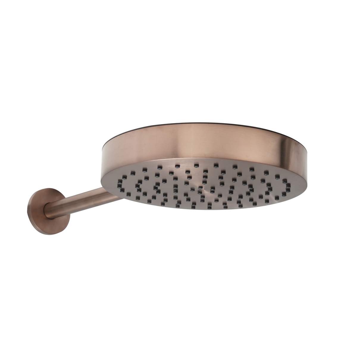 JTP Evo Brushed Bronze Shower Head and Arm (61400250BRZ)